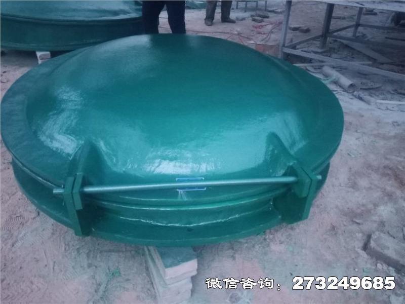 鲅鱼圈轻质玻璃钢拍门