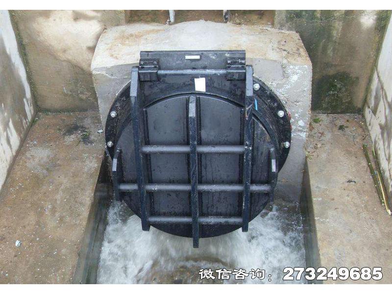 鲅鱼圈钢制水渠拍门